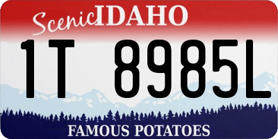 ID license plate 1T8985L
