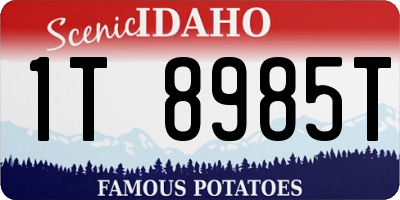 ID license plate 1T8985T