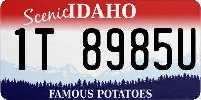 ID license plate 1T8985U