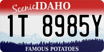 ID license plate 1T8985Y