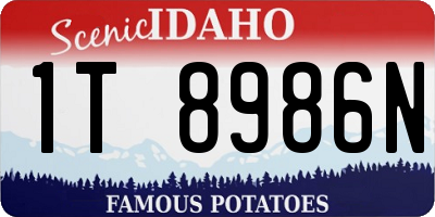 ID license plate 1T8986N
