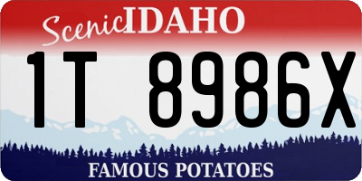 ID license plate 1T8986X
