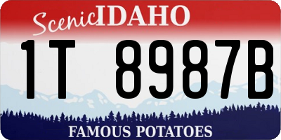 ID license plate 1T8987B