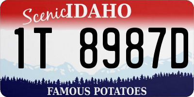 ID license plate 1T8987D