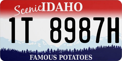 ID license plate 1T8987H