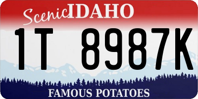 ID license plate 1T8987K
