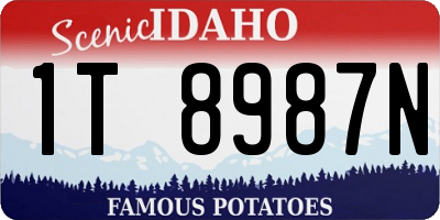 ID license plate 1T8987N