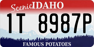 ID license plate 1T8987P
