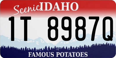 ID license plate 1T8987Q