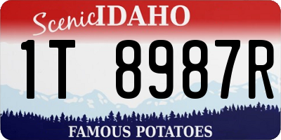 ID license plate 1T8987R
