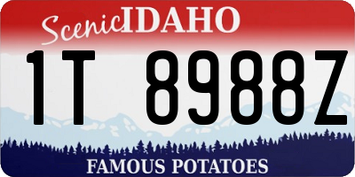 ID license plate 1T8988Z