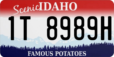 ID license plate 1T8989H