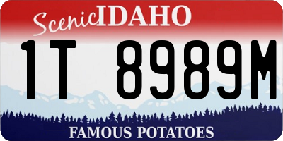 ID license plate 1T8989M