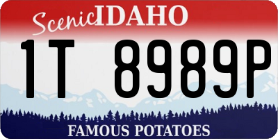 ID license plate 1T8989P