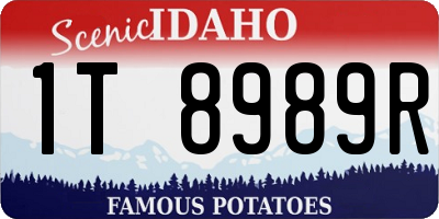 ID license plate 1T8989R
