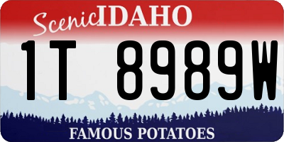 ID license plate 1T8989W