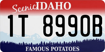 ID license plate 1T8990B