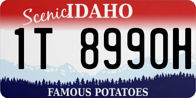ID license plate 1T8990H