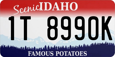 ID license plate 1T8990K