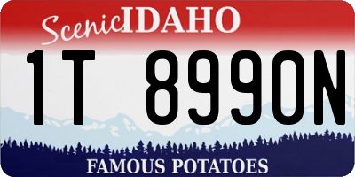 ID license plate 1T8990N