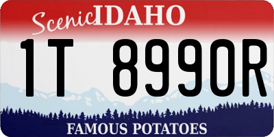 ID license plate 1T8990R