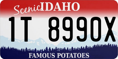 ID license plate 1T8990X
