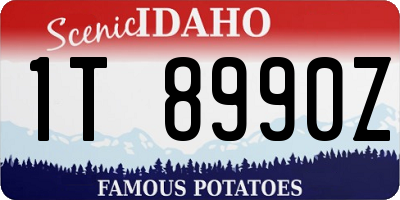 ID license plate 1T8990Z