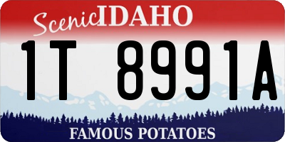 ID license plate 1T8991A