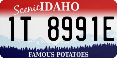 ID license plate 1T8991E