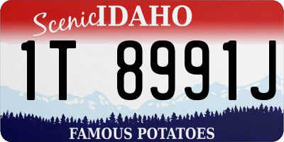 ID license plate 1T8991J