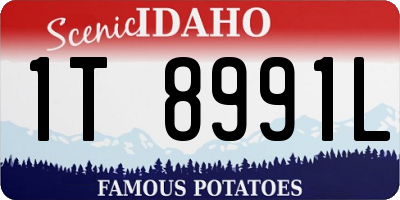 ID license plate 1T8991L