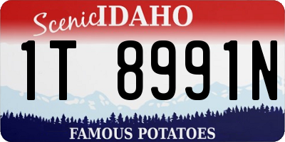 ID license plate 1T8991N