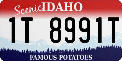 ID license plate 1T8991T