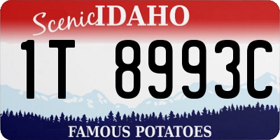 ID license plate 1T8993C