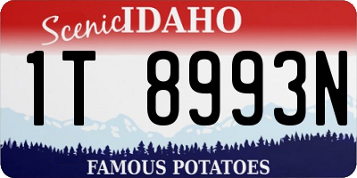 ID license plate 1T8993N