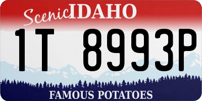 ID license plate 1T8993P
