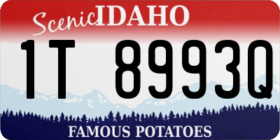 ID license plate 1T8993Q