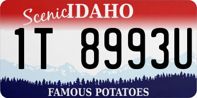 ID license plate 1T8993U