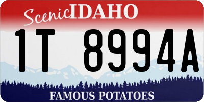 ID license plate 1T8994A