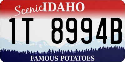 ID license plate 1T8994B
