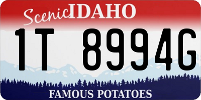 ID license plate 1T8994G