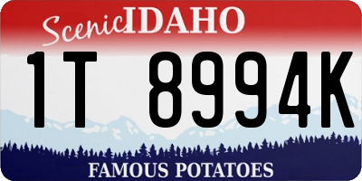 ID license plate 1T8994K