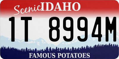 ID license plate 1T8994M
