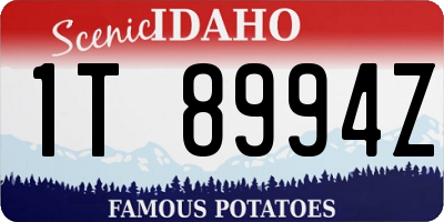 ID license plate 1T8994Z