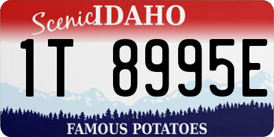 ID license plate 1T8995E