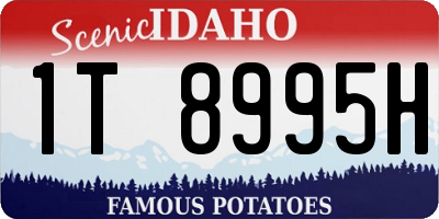 ID license plate 1T8995H