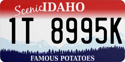 ID license plate 1T8995K