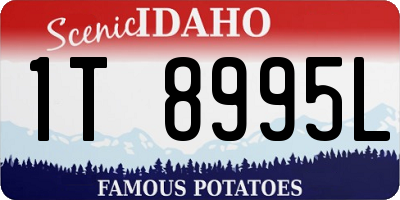 ID license plate 1T8995L