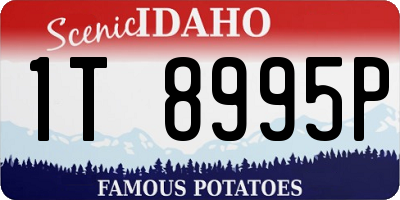 ID license plate 1T8995P