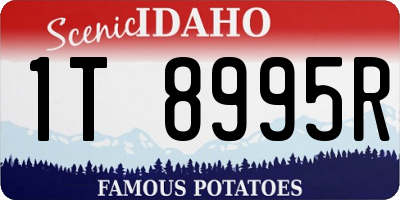ID license plate 1T8995R